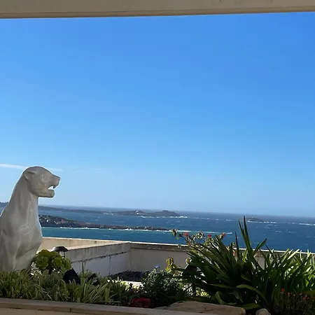 Apartment Vue Epoustouflante Sur & La 2 Pieces, Piscine Confort 4 Etoiles, Tres Calme, Terrasse Spacieuse Sans Vis A Vis, Parking Prive Standing Bandol